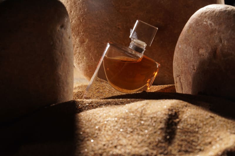 Portfolio photo by Shaghik Torosian