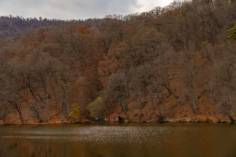 Portfolio photo by Shaghik Torosian