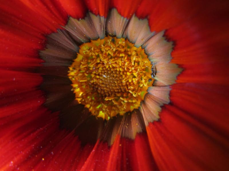 Portfolio photo by Shaghik Torosian