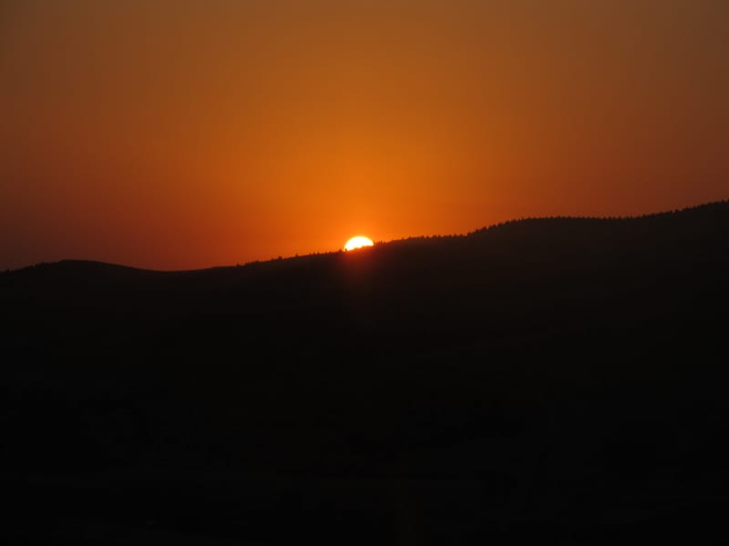 Portfolio photo by Shaghik Torosian