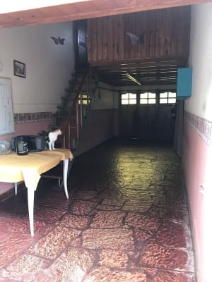 Miniatura de slide 4