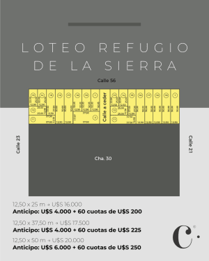 Miniatura de slide 1