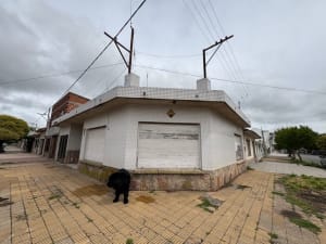 Miniatura de slide 2