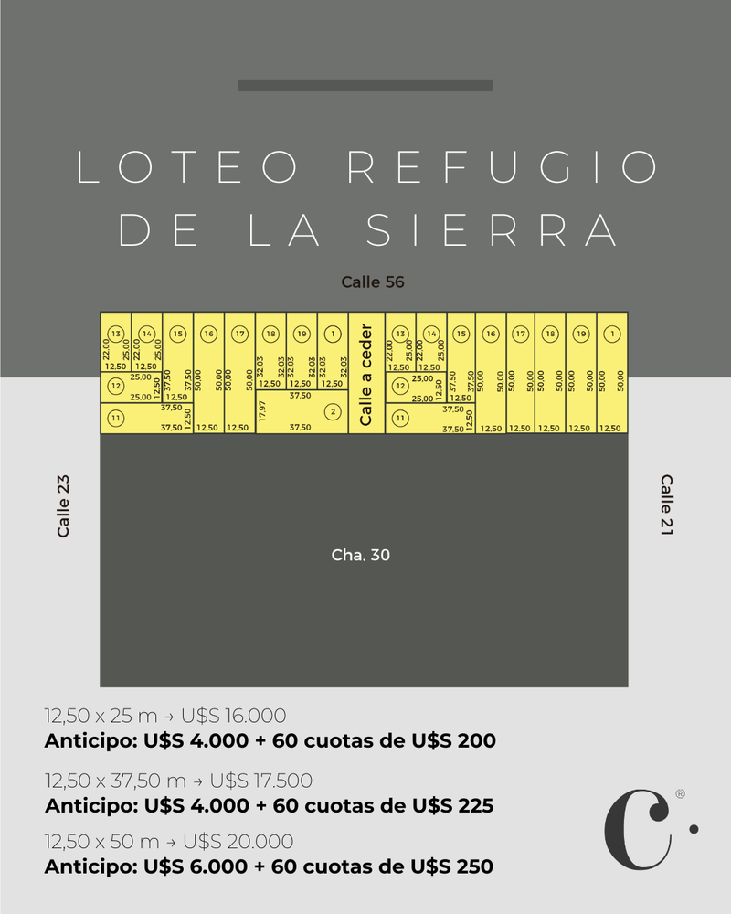 Miniatura de slide 1