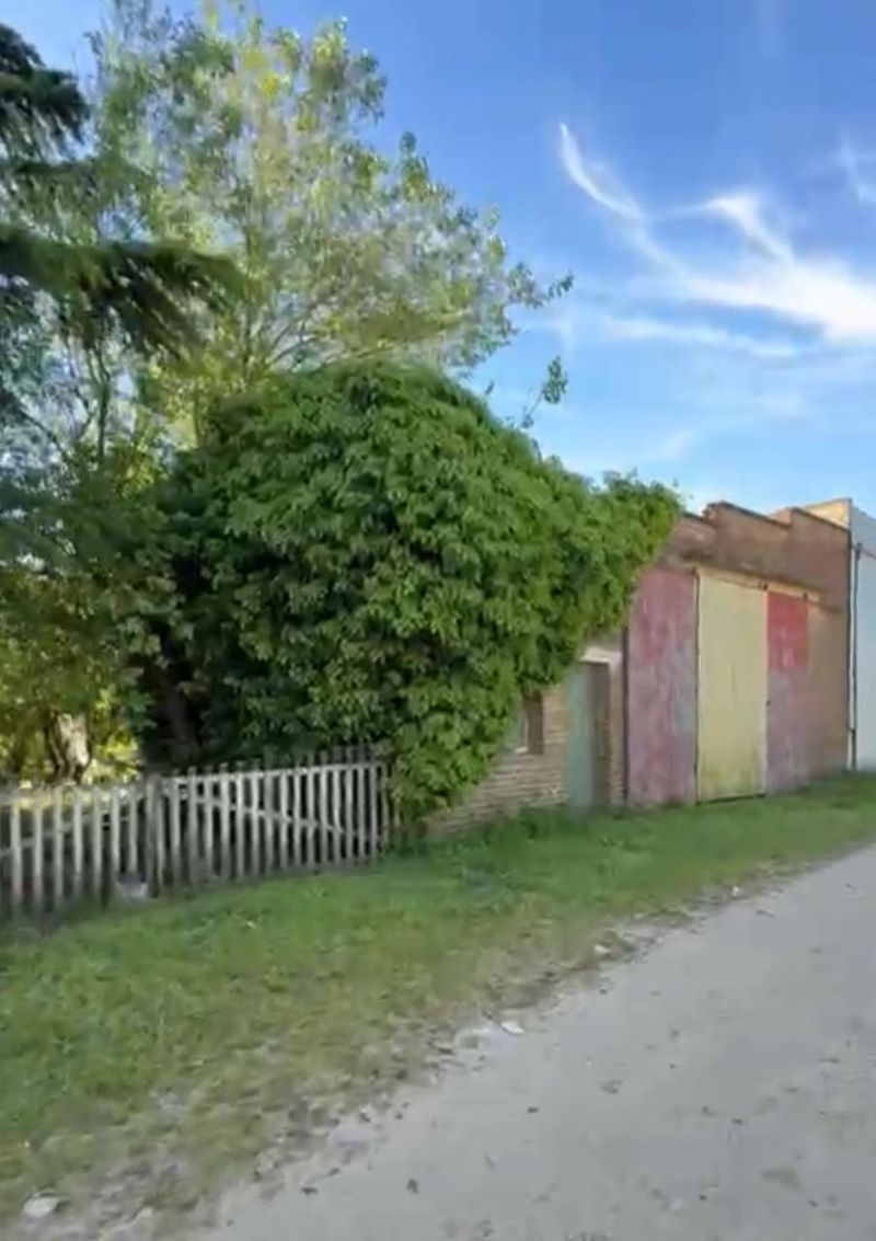 Miniatura de slide 1