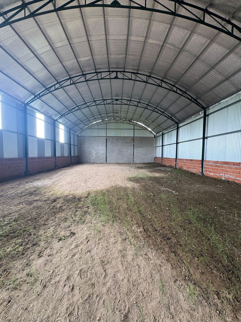 Miniatura de slide 4