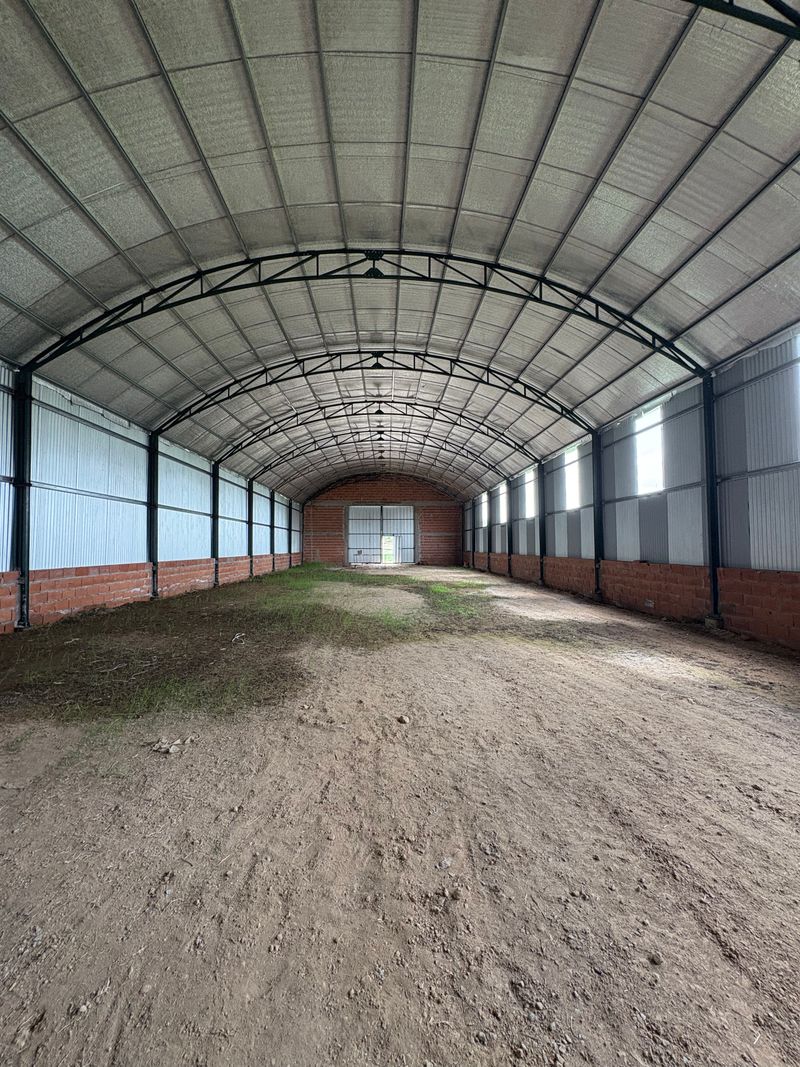 Miniatura de slide 5