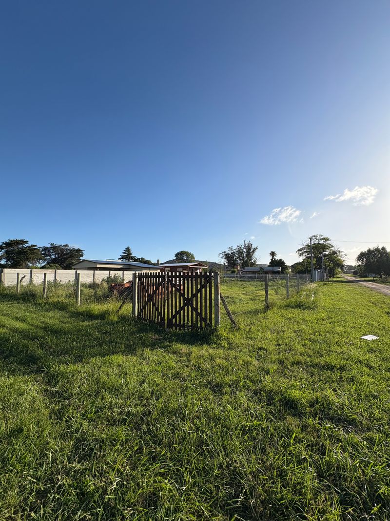 Miniatura de slide 1