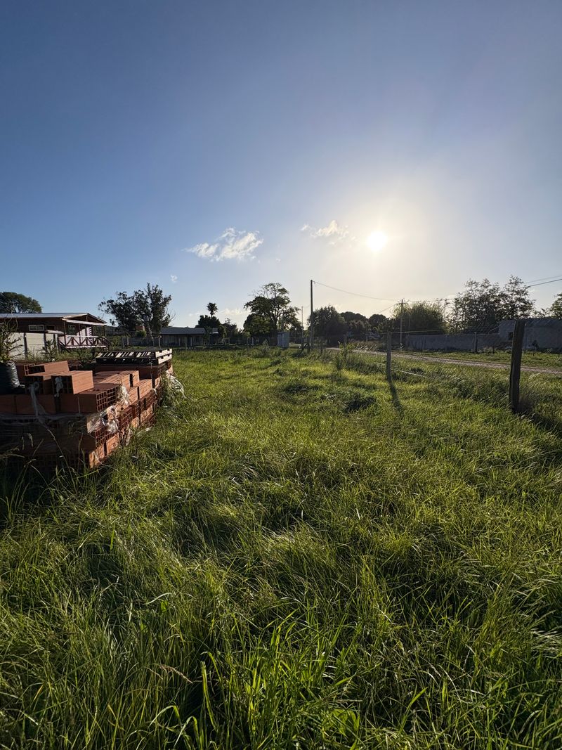 Miniatura de slide 5