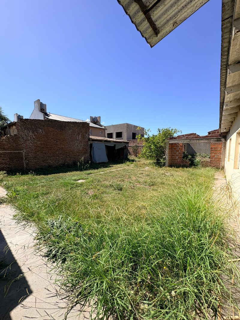 Miniatura de slide 7