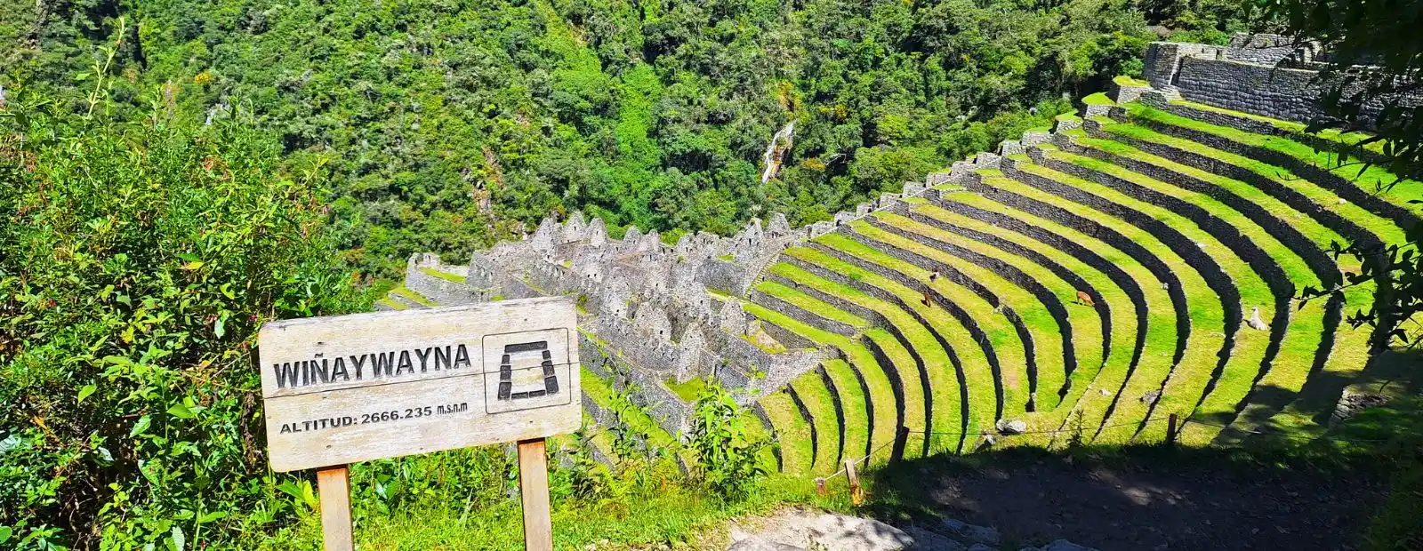 Salkantay and Inca Trail 7 days family-friendly trek 1 Salkantay and Inca Trail 7 days family-friendly trek 1