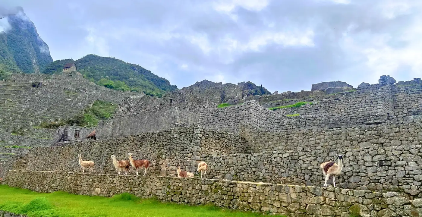  BY CAR MACHU PICCHU 4