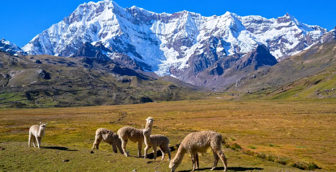  AUSANGATE TREK TO ROAINBOW MOUNTAIN 4 DAYS 3