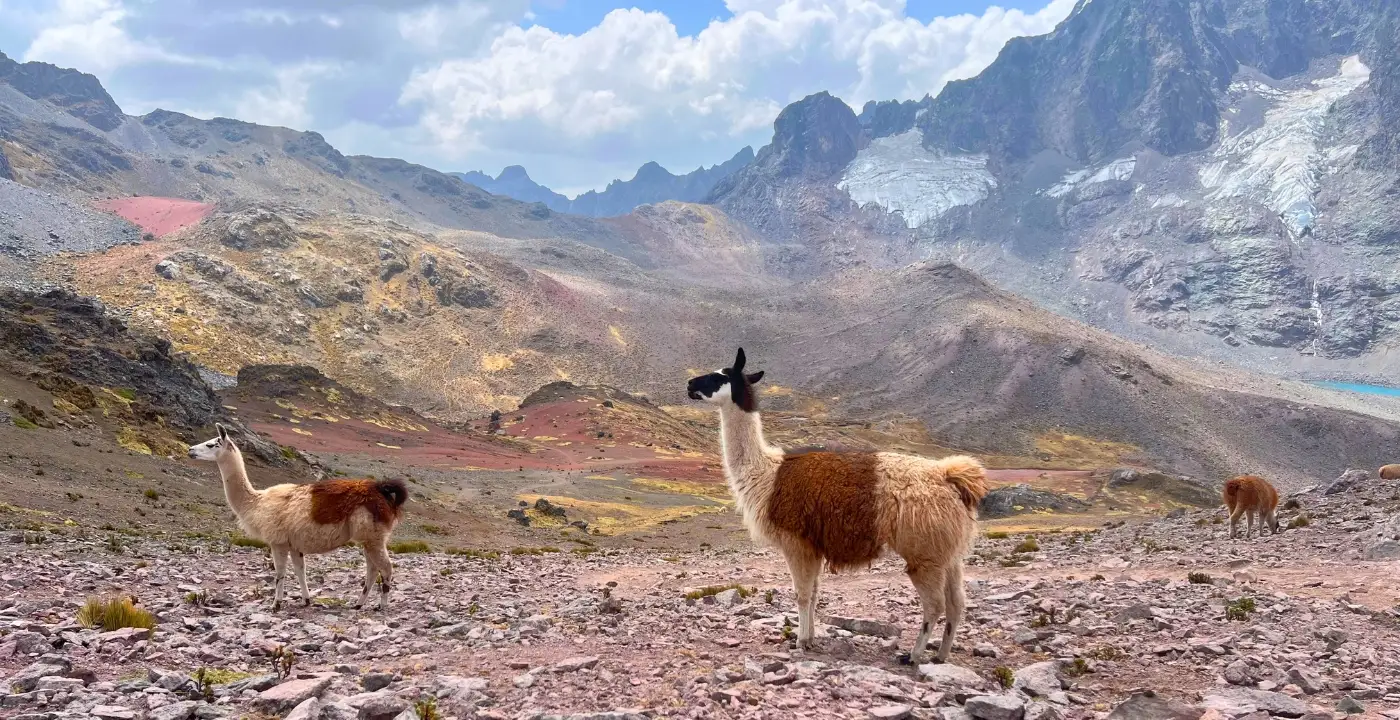  TREKKING AUSANGATE RAINBOW MOUNTAIN AND RED VALLEY 3