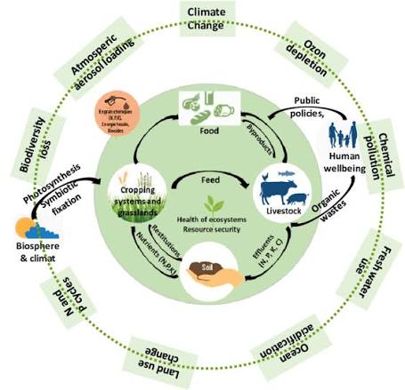 MSc in Food Animal Metabolism and Management in the Circular Economy