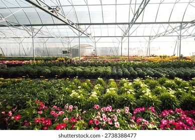 MSc in Sustainable and precision agriculture