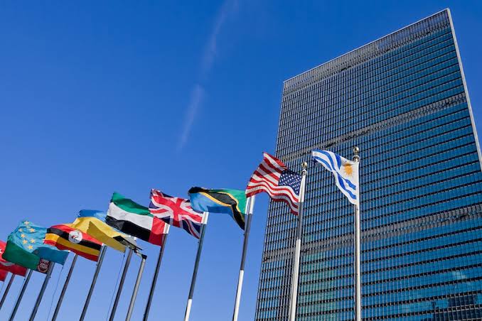 MA in International Politics and Economics