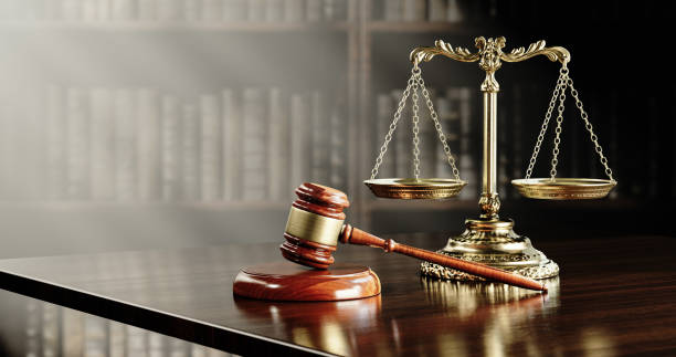MSc in Global Law for Organizations, Business Enterprises and Institutions