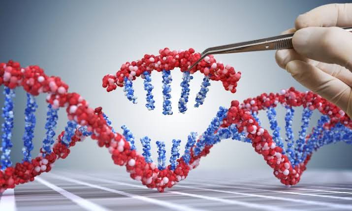 MSc in Biochemistry