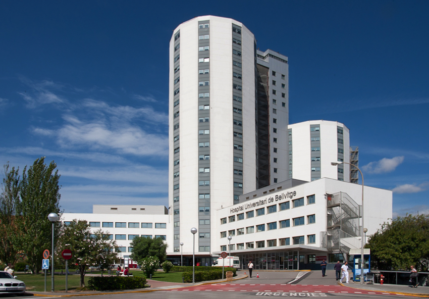 MSc in Applied Dynamic and Clinical Psychology