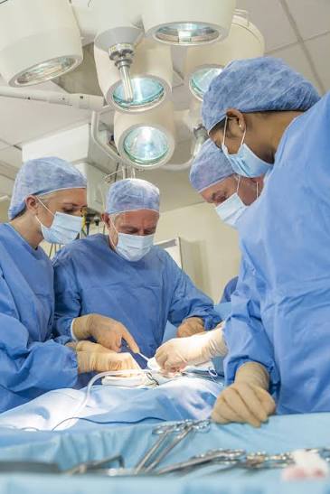 Medicine and Surgery EN - PERUGIA