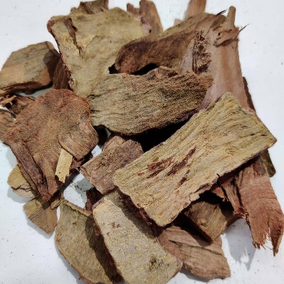 Arjuna (Terminalia Arjuna)