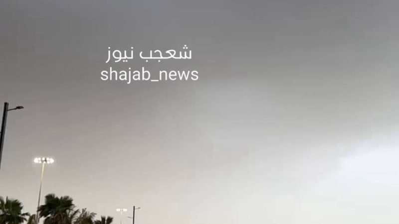 A waterfront promenade lined with palm trees and street lights under heavy overcast skies, with a few pedestrians walking along the path. The image has a watermark reading 'shajab_news' in Arabic and English.