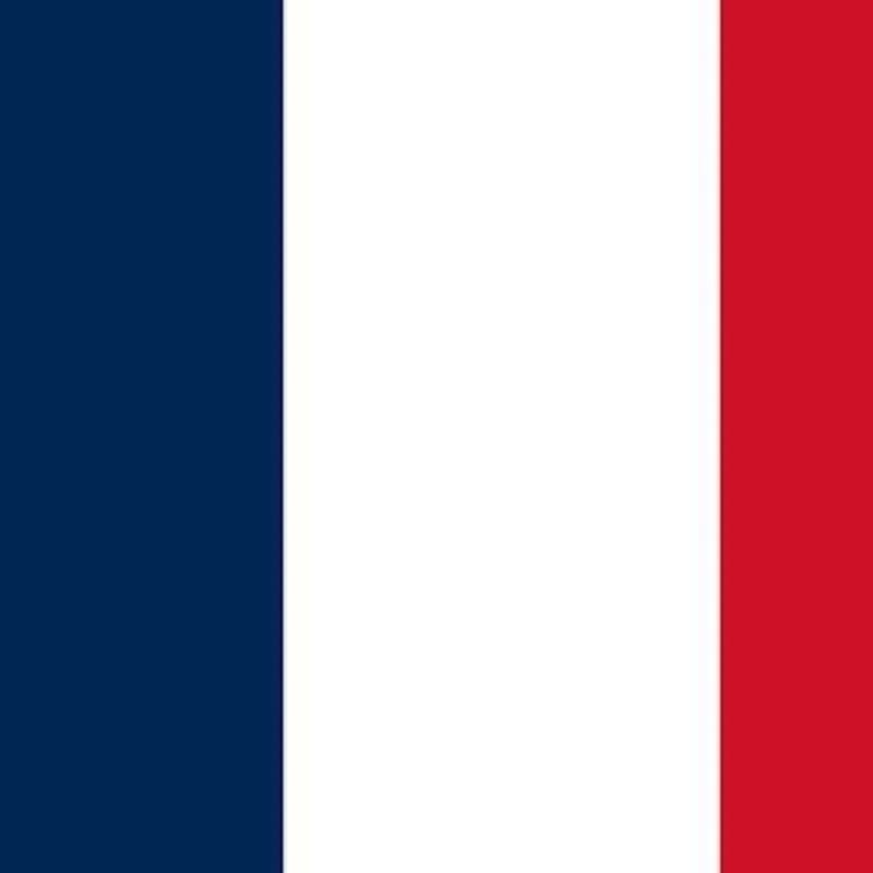 The national flag of France, featuring three vertical stripes in blue, white, and red.