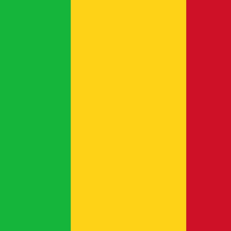 The national flag of Mali, featuring three vertical stripes in green, yellow, and red from left to right.