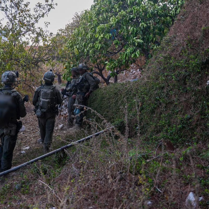 Armed soldiers in full tactical gear patrol through a vegetated hillside with fruit trees, accompanied by a military working dog. Their faces are blurred for operational security.