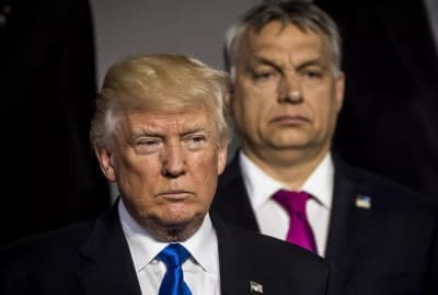 Trump Praises Orbán on Immigration