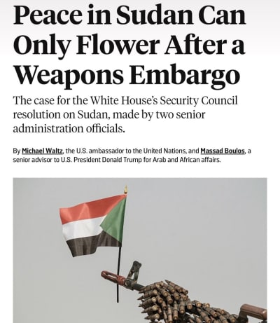 US Pushes UN Arms Embargo on Sudan