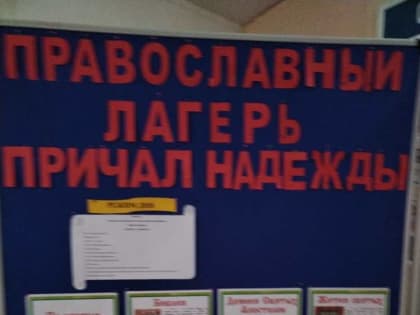 С 1 августа в Бряндинской школе начинает свою работу социальный православный лагерь "Причал надежды"