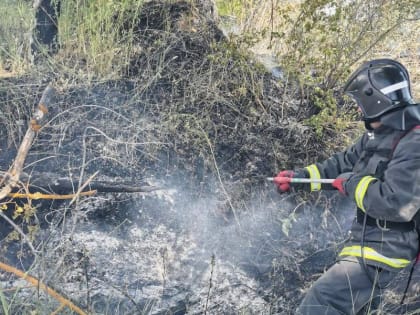 Пожарная опасность и сильный ветер!