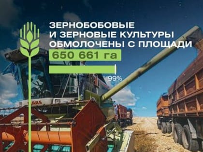 В Ульяновской области собрали более 4 тонн проса и 6 тонн кукурузы