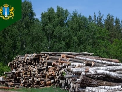 В регионе перевыполнили план по получению выплат за использование лесов