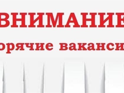 Агроном, механик, инженер… В Ульяновской области названы самые высокооплачиваемые вакансии