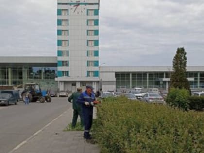 Ульяновские озеленители постригли 15 тысяч метров кустарника