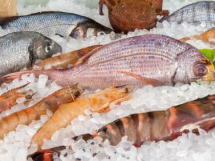 В Димитровграде хотят создать собственную рыбоводческую ферму