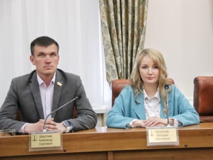 Более чем на 203 млн руб. устранено нарушений по итогам проверок Контрольно-счетной палаты Ульяновска в 2022 году