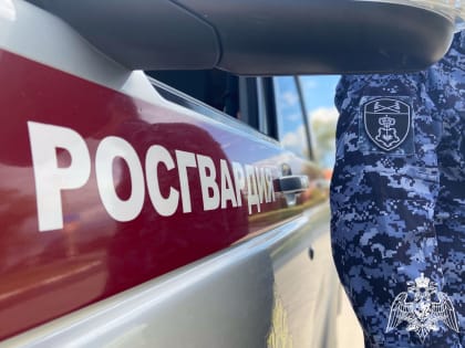 В Димитровграде росгвардейцы задержали мужчину, подозреваемого в нанесении телесных повреждений