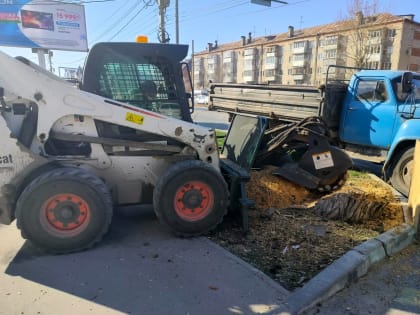 Для скорейшего озеленения с улиц Ульяновска удаляют пни