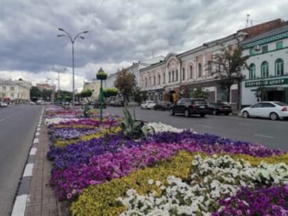 Опять дожди. Смотрим погоду в Ульяновске на понедельник