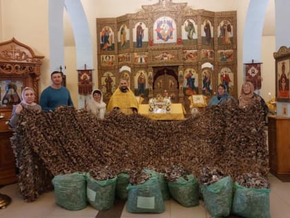 Волонтеры патриотического отряда 