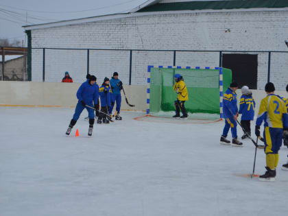 Развитие дворового спорта, мини-профилакторий и цифровой планетарий: ТОС Ульяновска реализуют новые проекты