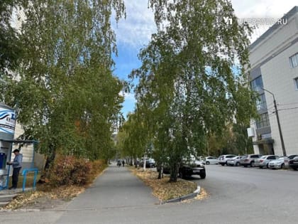 Сегодня в Ульяновской области ожидается облачная погода и дождь