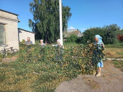 Молебен о даровании победы в зоне СВО