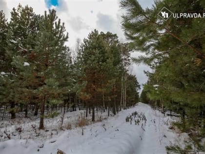 Где в Ульяновской области найти работу в Вешкаймском районе. Зарплаты – до 90 000