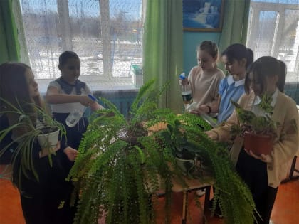 В Ульяновской области пополняют «рюкзак эколога»