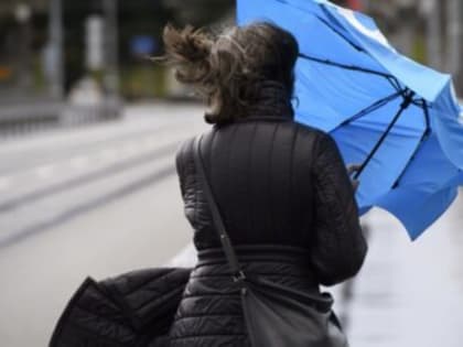 Ульяновцев предупреждают о сильном ветре. «Желтый» уровень опасности